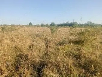 Targu Neamt, Punct Manesti, cota parte 1/2, ID: R2759104