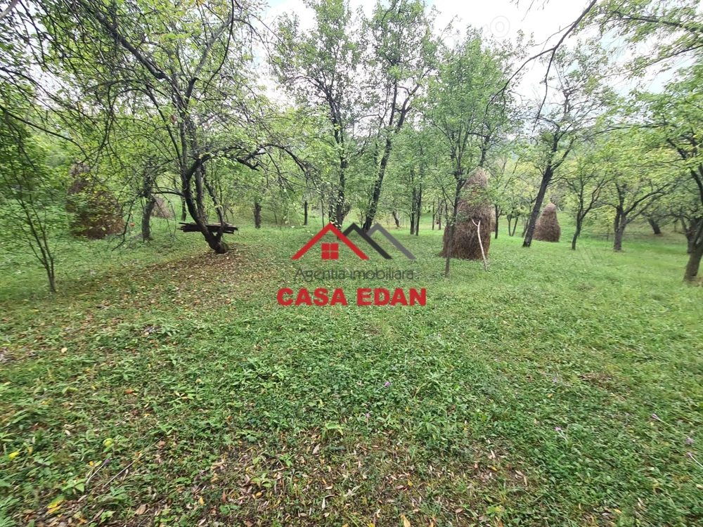 Teren intravilan in Sotrile--5991mp--10e