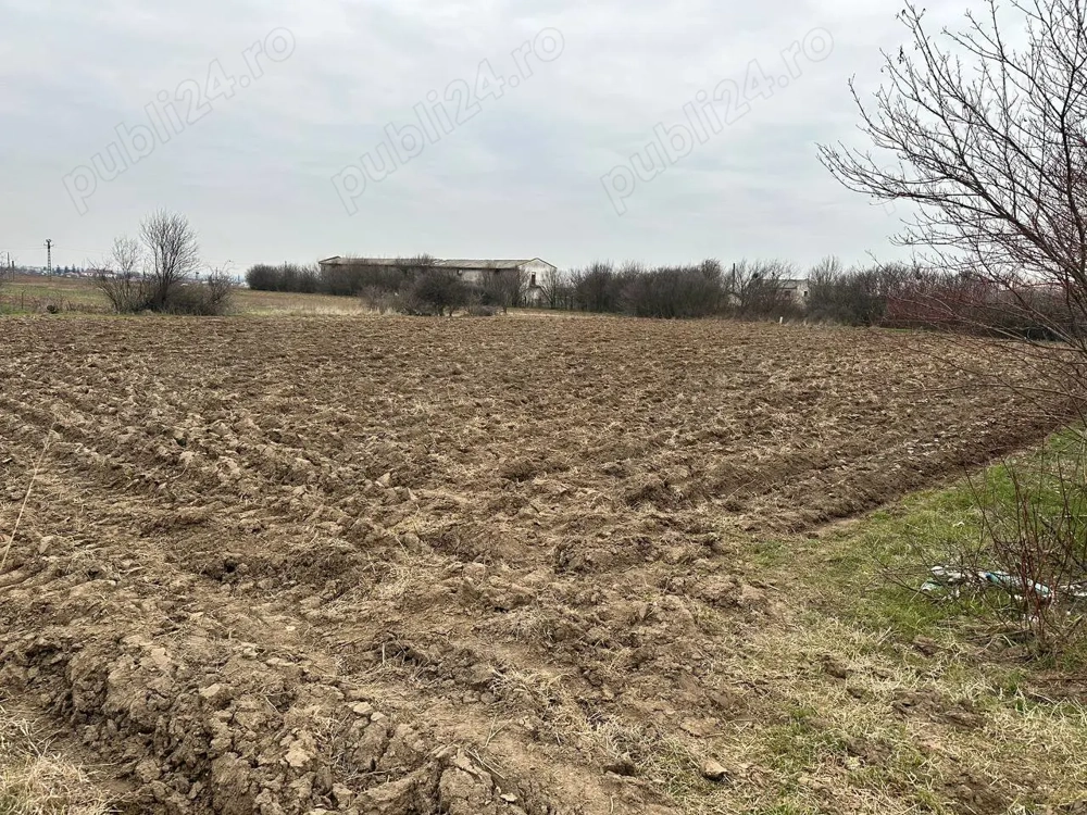 Teren 2055mp Bradesti   Strada Valea Rea Teren 2055mp Bradesti   Strada Valea Rea