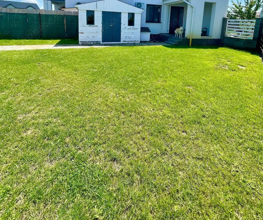 Langa noul Lidl.La asfalt.Toate Utilitatile.Bucatarie inchisa