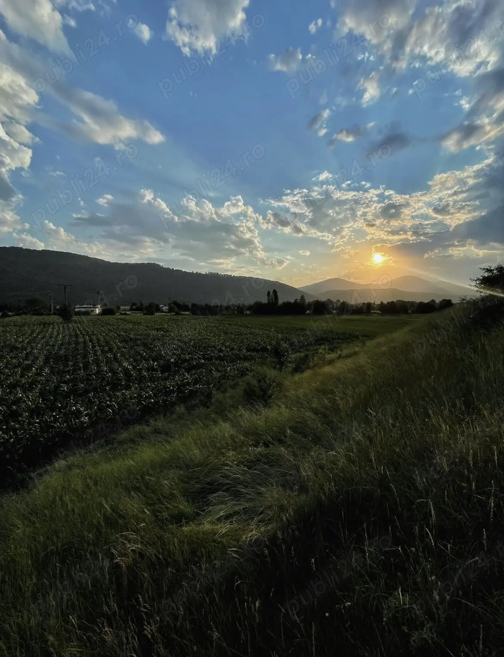 1700 Mp teren cu 4 euro