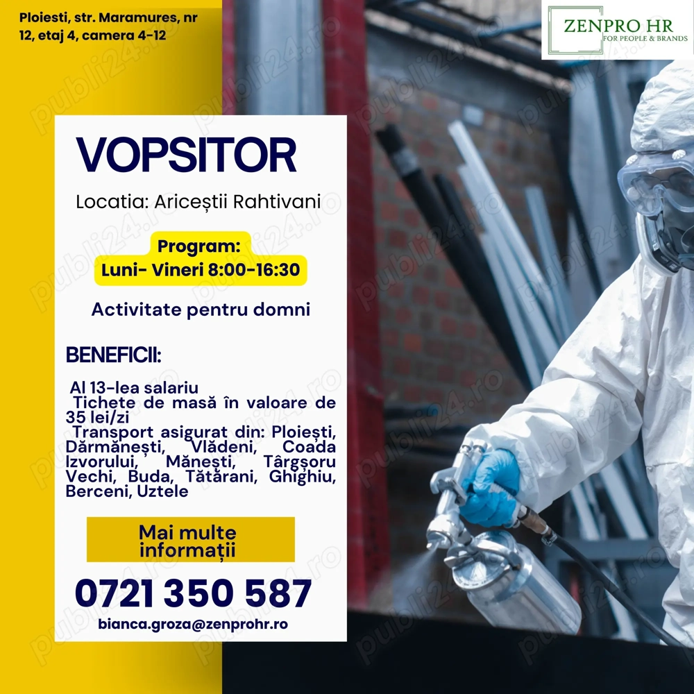 Vopsitor Industrial Vopsitor Industrial