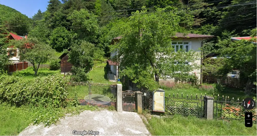 Vila de vanzare, posibilitate pensiune