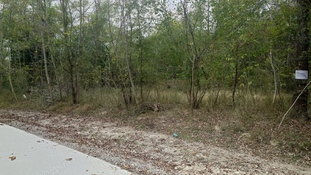 Teren 1215mp sau 2429mp in Poiana Varbilau, Prahova