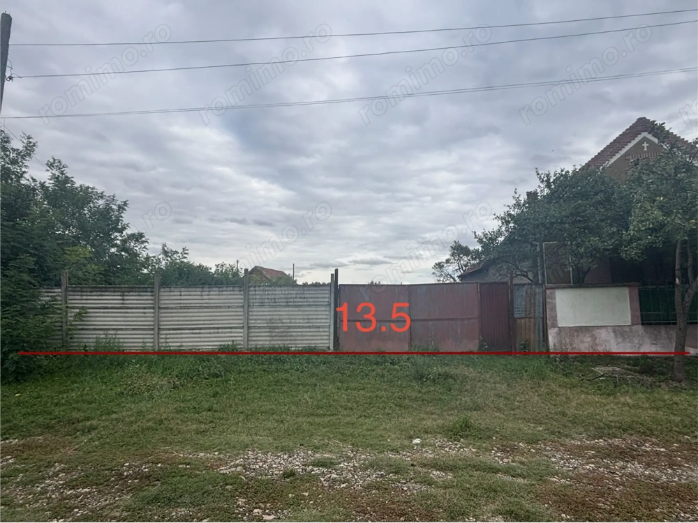 Teren sinicolau roman 