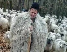 Caut cioban la oi  Caut cioban la oi