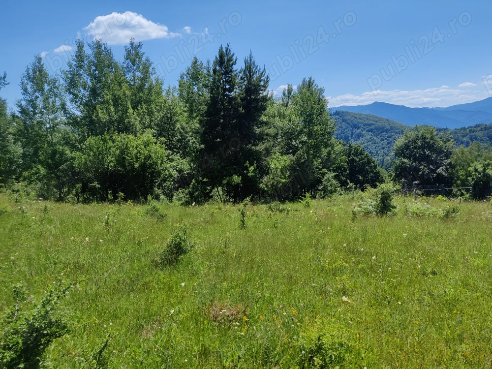 Oportunitate deosebită în Bisericani, Alexandru cel Bun - Neamt!