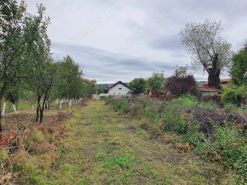 Teren intravilan, Goranu-Lespezi