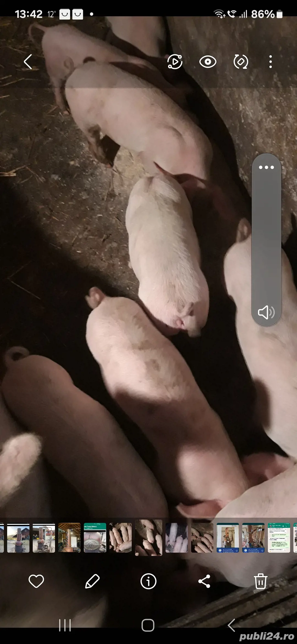 Soldani de vanzare  Soldani de vanzare