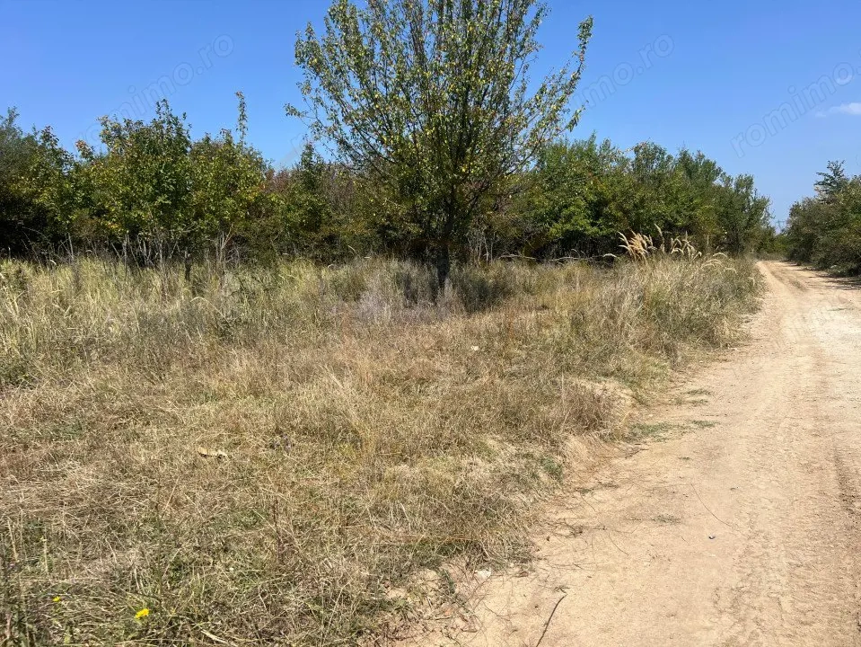 Teren intravilan 5744 mp Mosoaia-Prunilor  