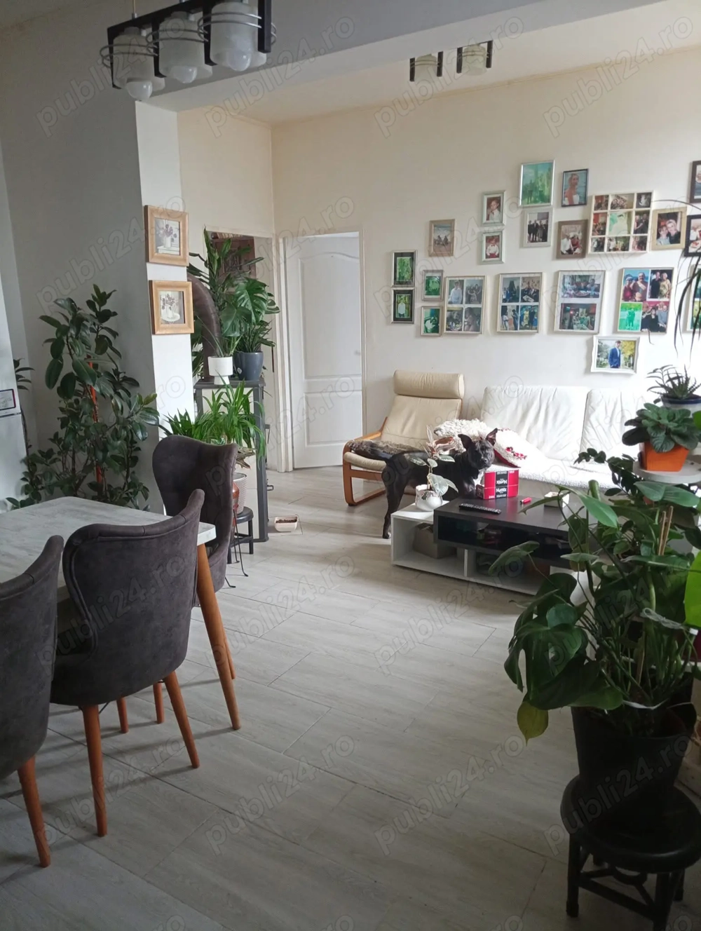 Casa de vanzare in Brad