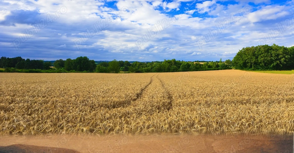Judetul Dambovita, teren agricol