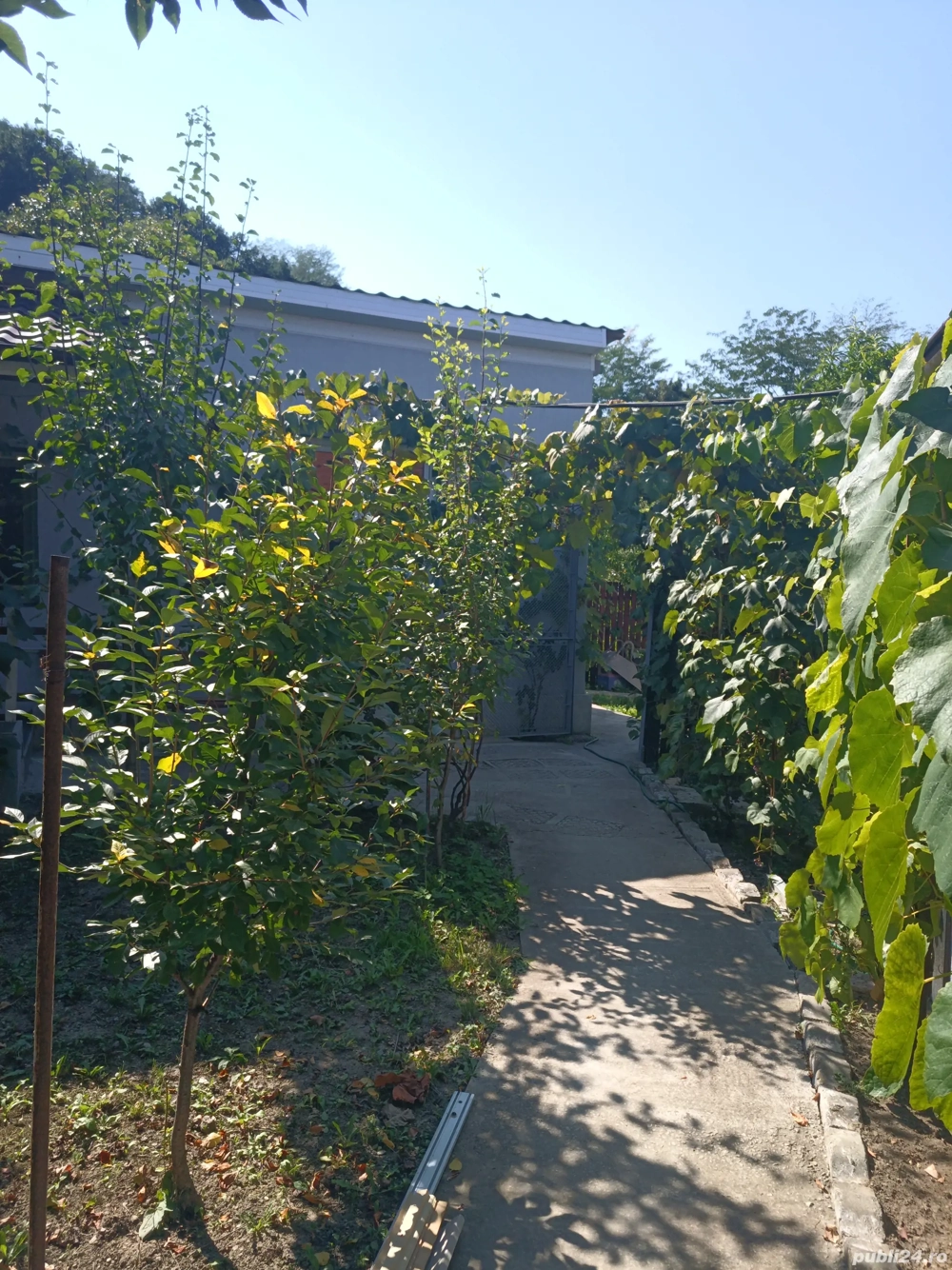 Case de vînzare confort apartament 