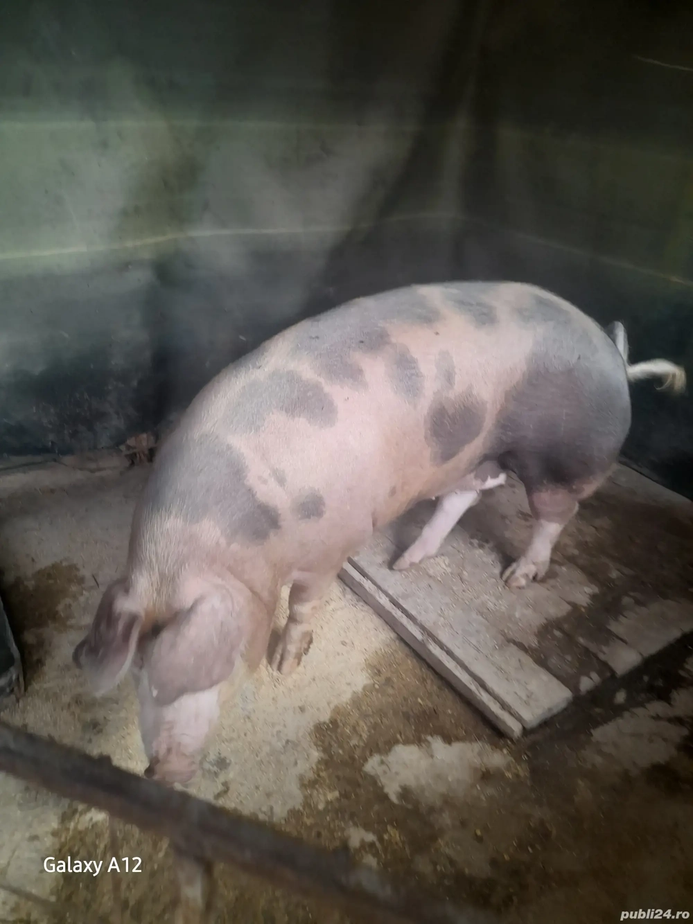 De vânzare  De vânzare