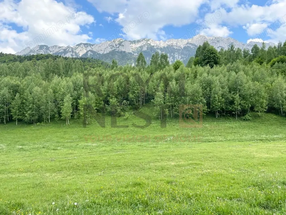 COMISION 0%! Teren superb la Plaiul Foii, pe malul Barsei