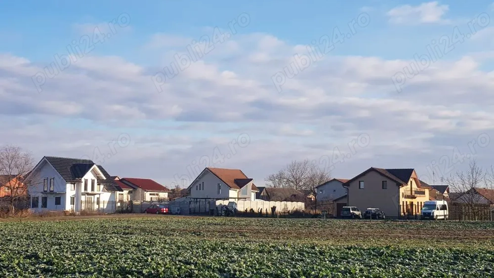 De vanzare parcela de teren pentru casa single sau duplex in Sacalaz, cu utilitati, 34900 euro