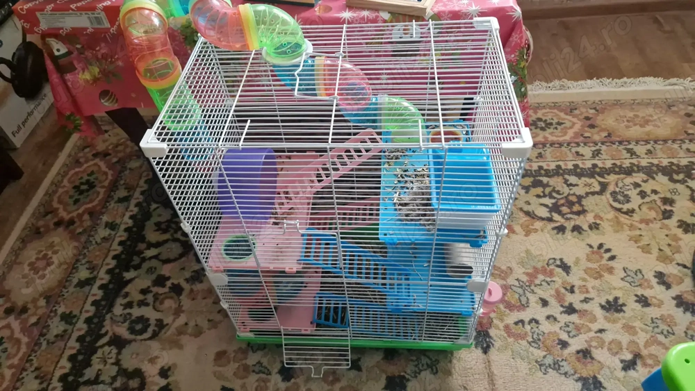 Vand cusca cu 2 hamsteri