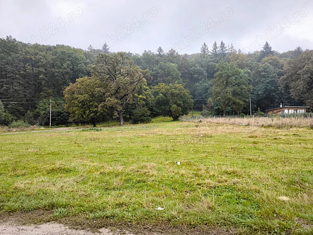 Teren intravilan de vânzare 2.000 mp, Cristian - Brașov.