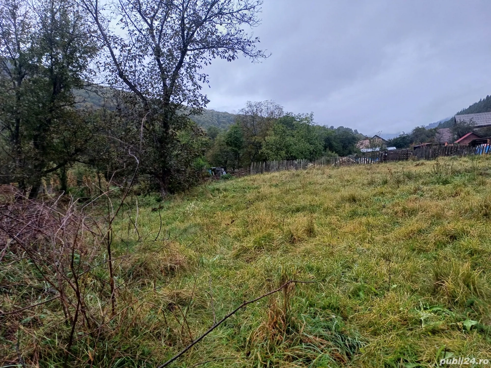 teren de vanzare 