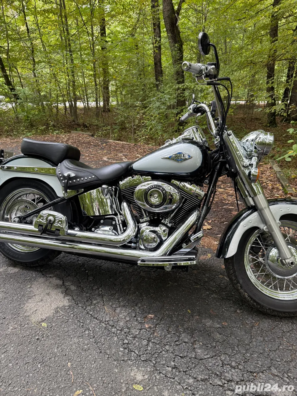 harley heritage 103 harley heritage 103