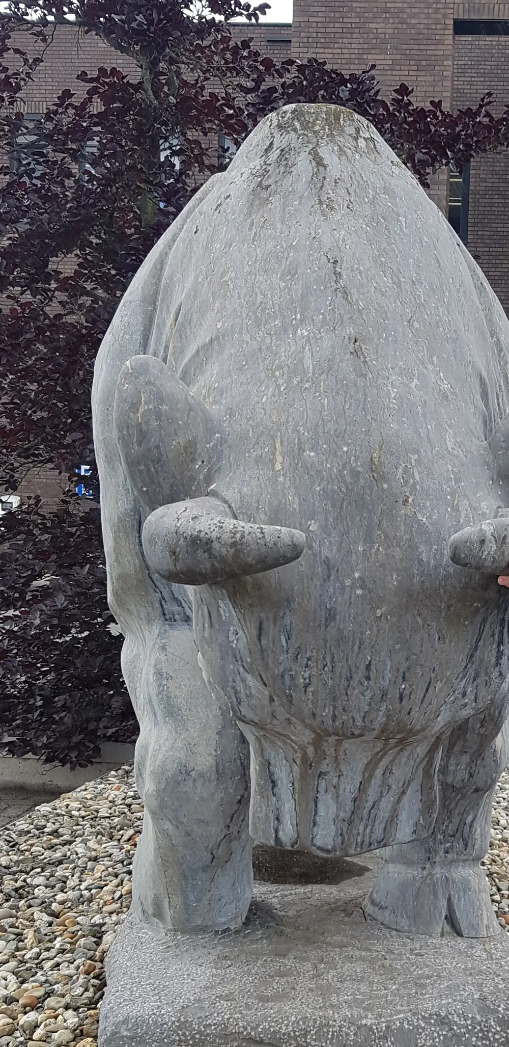 Angajăm măcelari Suedia 