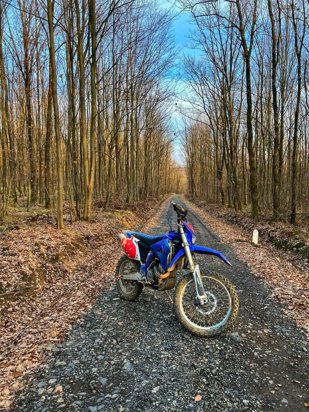  Yamaha WR450F 2006   Enduro fiabilă, pregătită de traseu  