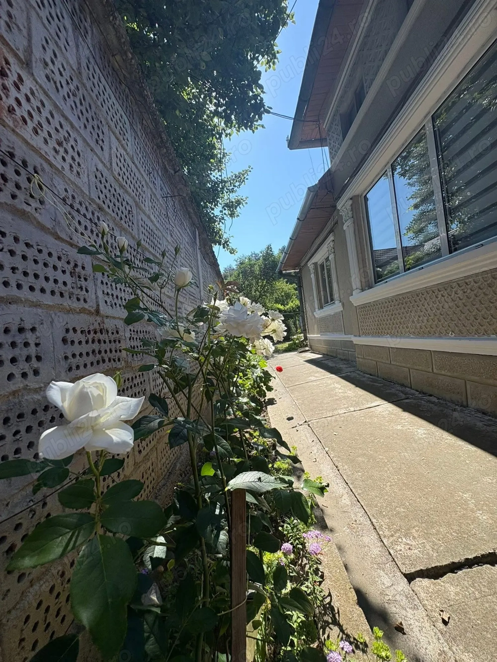 Casă de vanzare - Zona liniștită 