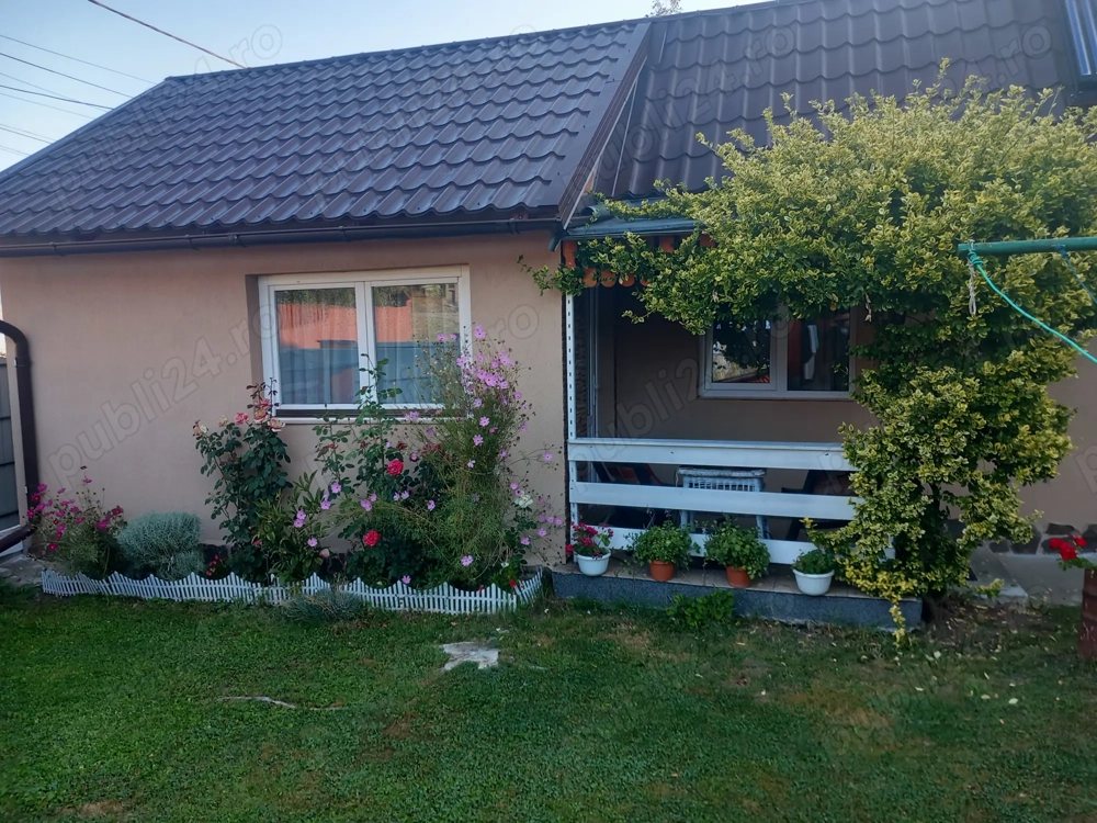 Cazare Toplita Pensiune