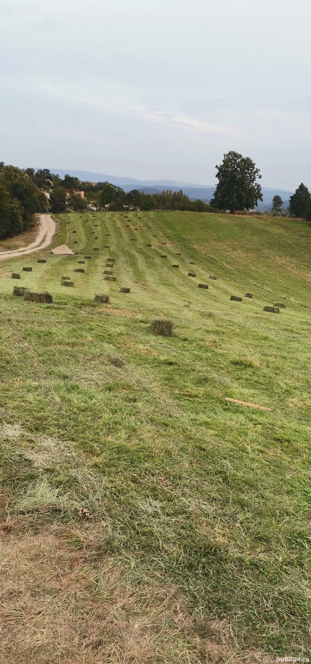 baloți de fân asigur transport