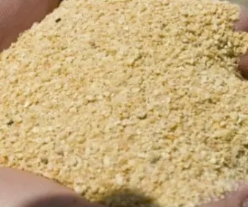 Srot soia proteina 46,7 %