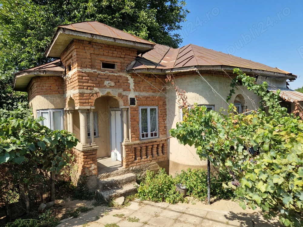 Casa + curte 900m2, comuna Daneti, jud Dolj Casa + curte 900m2, comuna Daneti, jud Dolj