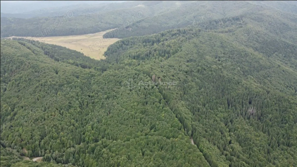 Teren 7 ha, Lac Vidraru, Podis Molivis