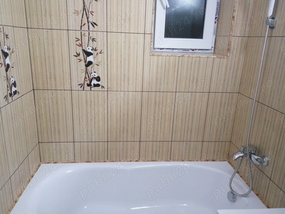 Ofer spre închiriere 