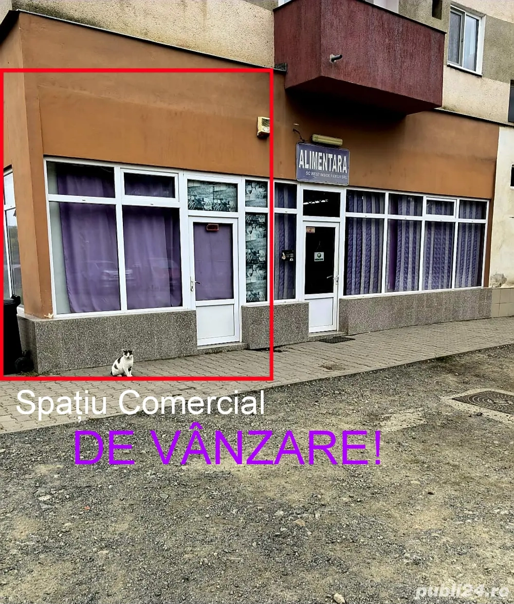 Spațiu Comercial De Vânzare 