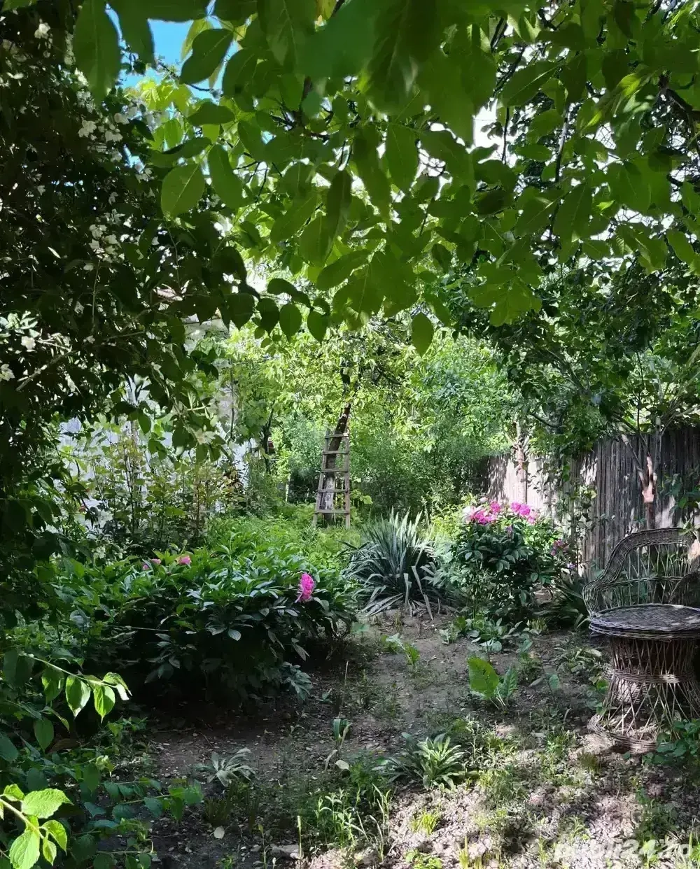 Casă+teren de vânzare Oreavul