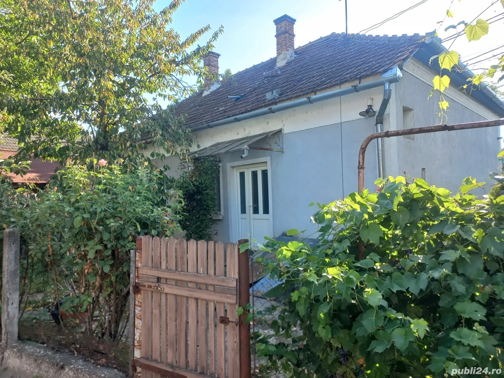 Cas  de vânzare în Uileacul de Criș 