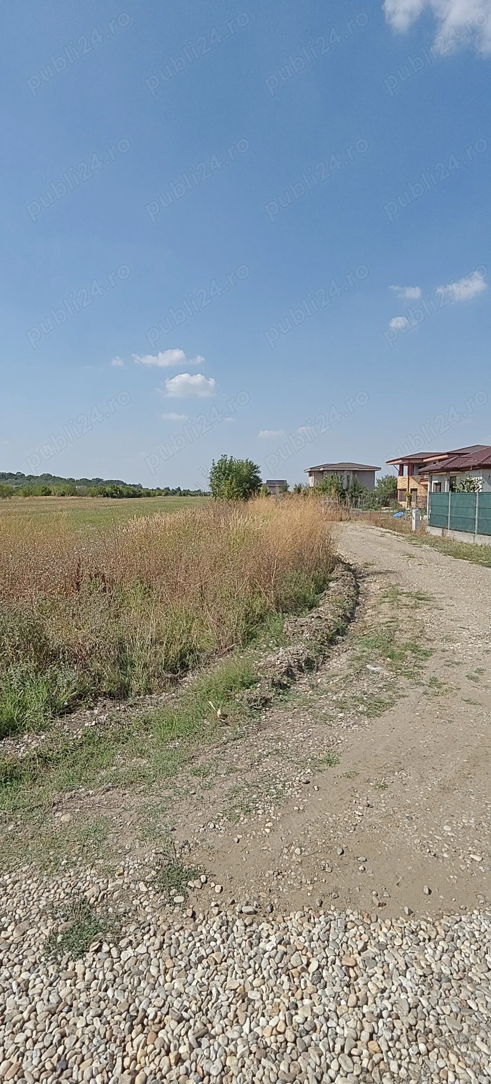 Teren - Țegheș - Domnești