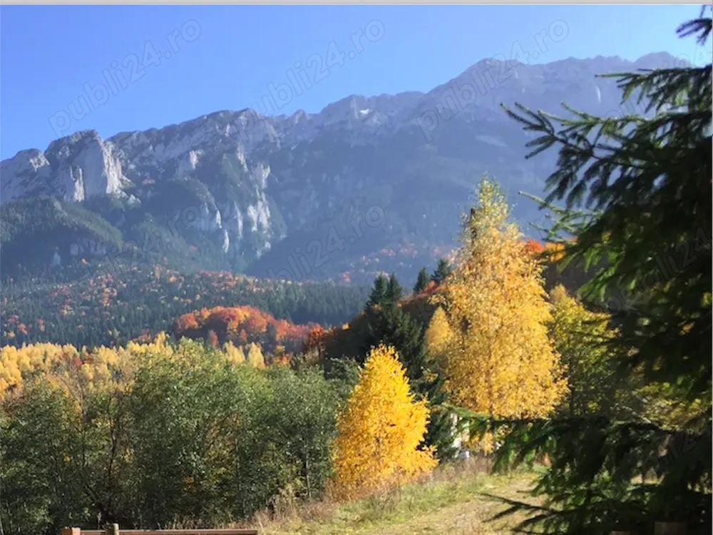 De vanzare Casa la munte, Piatra Craiului - Plaiul Foii, Zarnesti, Brasov