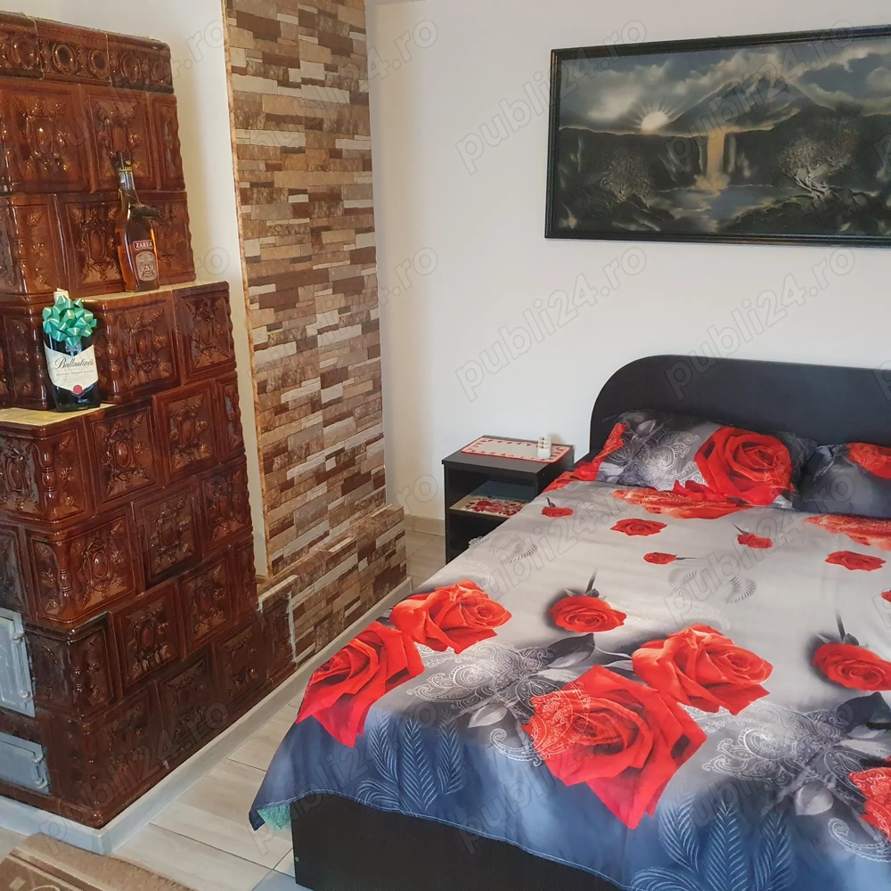 De Vânzare, Casa la tara