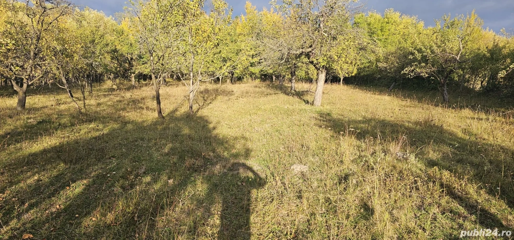 Teren intravilan Pucioasa 