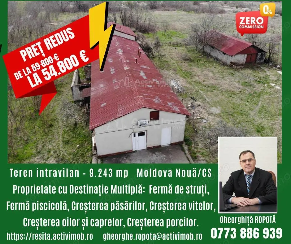 Moldova Noua, Proprietate cu Destinatie Multipla: Hala Productie Procesare a Carnii, Teren Intravila