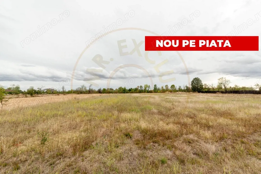 Teren intravilan 3000 mp, Oarja, Arges – amplasament excelent