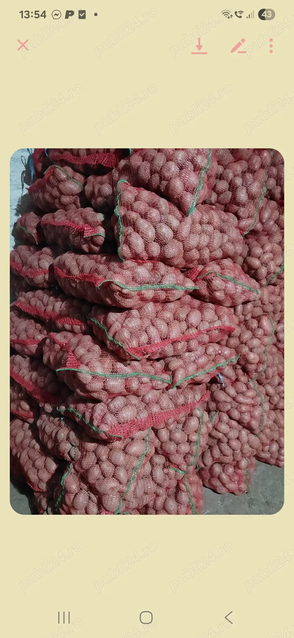 Cartofi de vanzare consum si sâmânta 