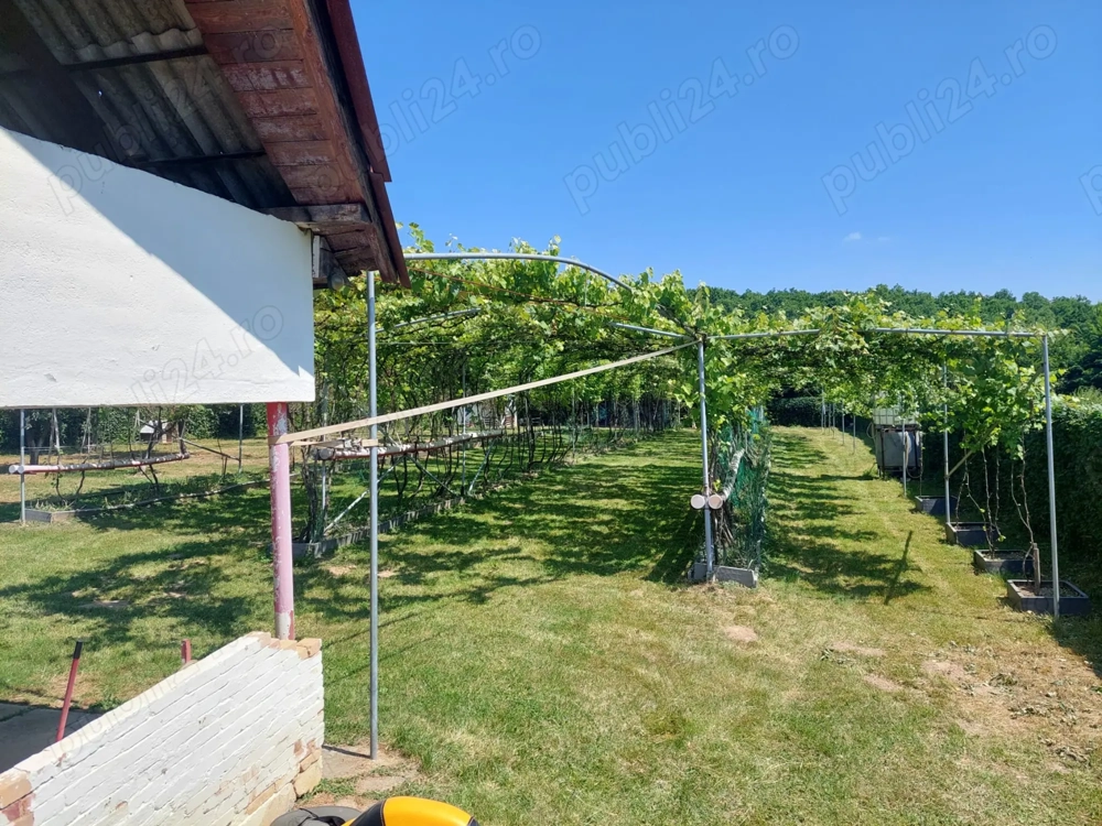 Teren intravilan 2159 mp   Tropinii Noi, Sibiu  lângă Pădurea Dumbrava