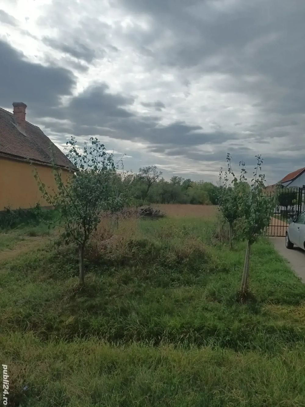 teren intravilan Petrovaselo, Recas