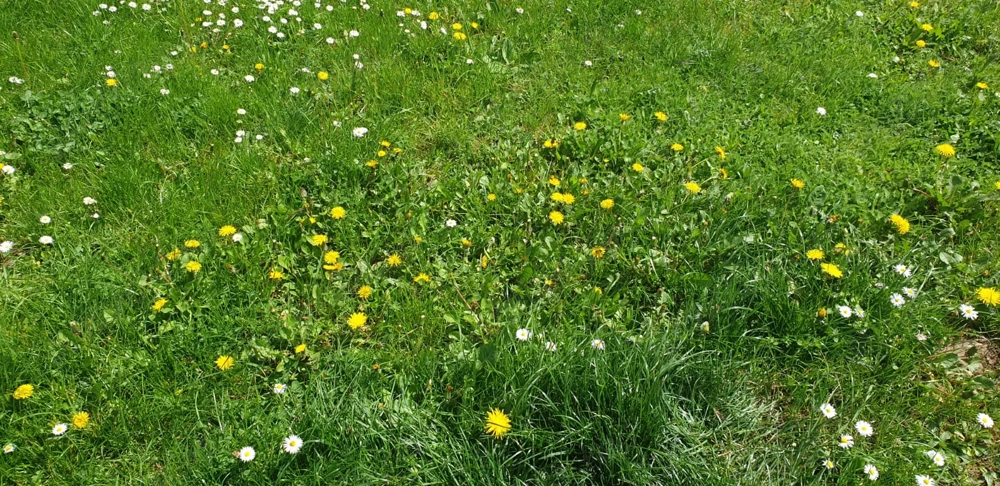 Se vinde teren intravilan 