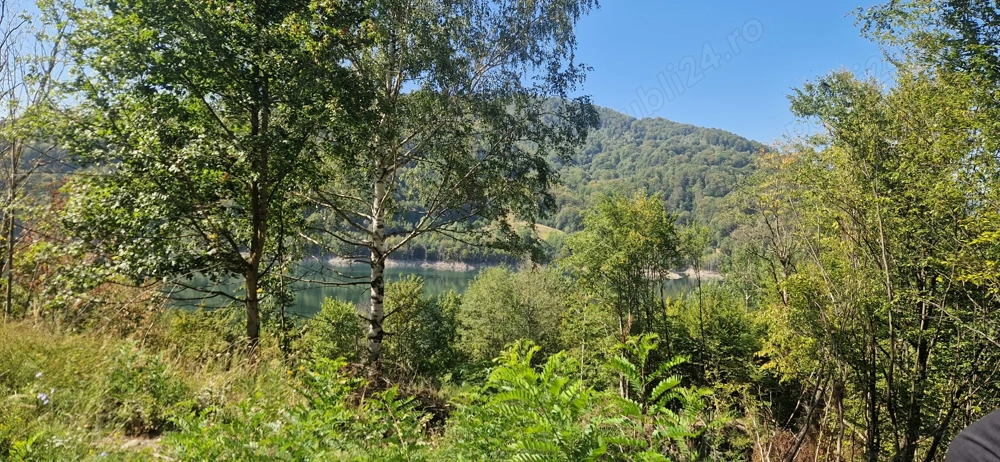 Vanzare teren intravilan Siriu