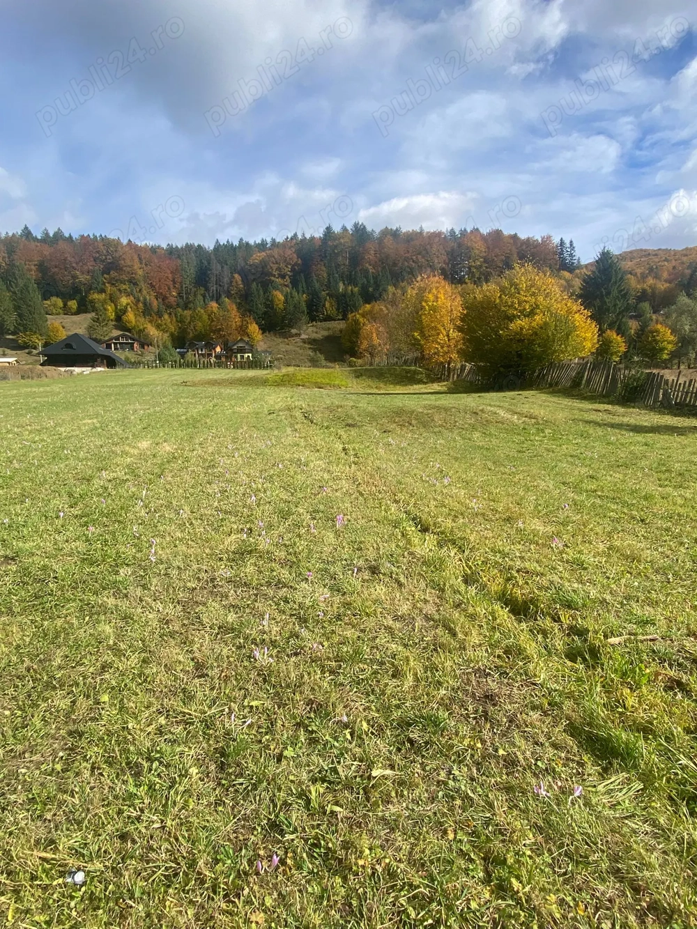 Teren de vânzare în Voroneț 