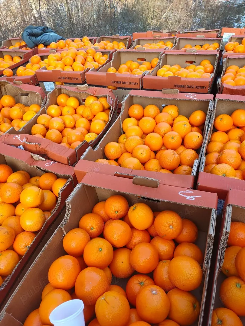 angajari personal depozite portocale Germania