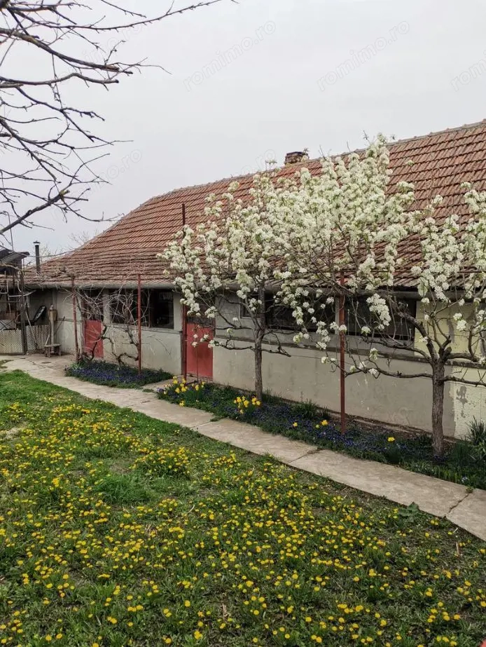 Casa de vanzare Variasu Mare, Arad